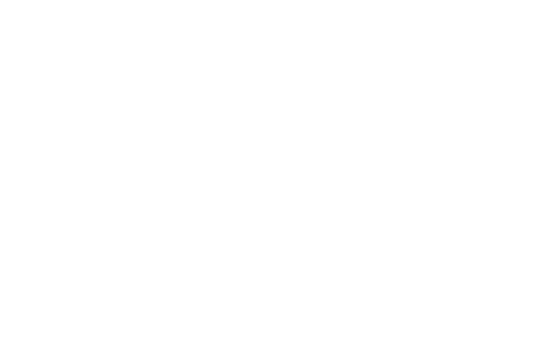 Car Anelok